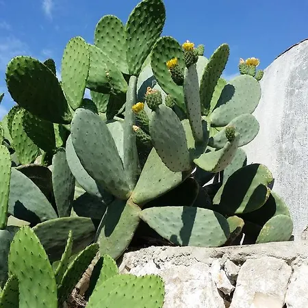 Bed & Breakfast Il Melograno *