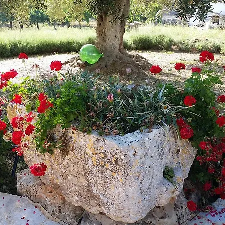 Bed & Breakfast Il Melograno