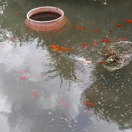 Il Melograno Ceglie Messapica