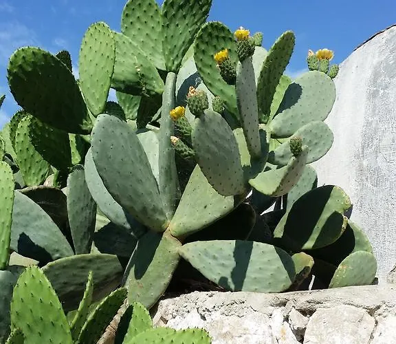 לינה וארוחת בוקר Il Melograno *