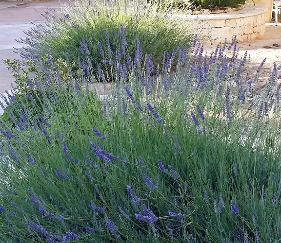 לינה וארוחת בוקר Il Melograno