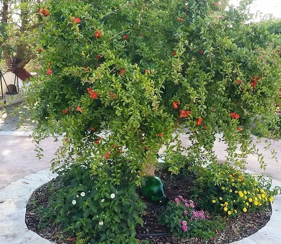 לינה וארוחת בוקר Il Melograno