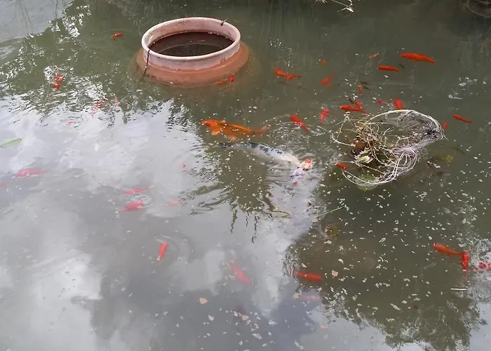 Il Melograno צ'לייה מספיקה