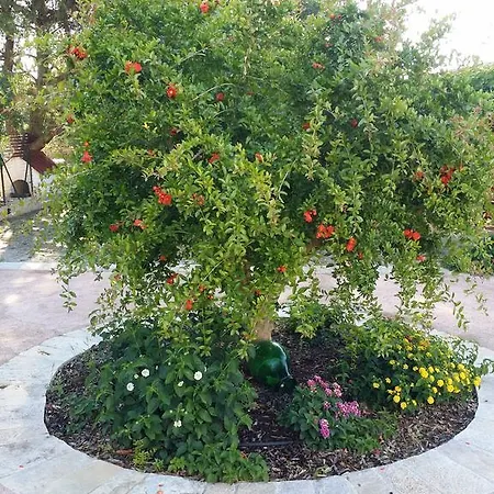 فندق مبيت وإفطار Il Melograno